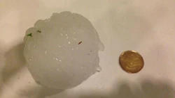 No exaggeration needed. Some of the hailstones that hit Manitoba during Friday's storm were baseball sized. Photo by David Sawatzky.