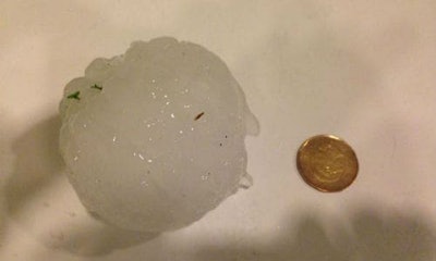 No exaggeration needed. Some of the hailstones that hit Manitoba during Friday's storm were baseball sized. Photo by David Sawatzky.