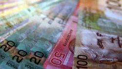 Dr. Fred Lazar, an Associate Professor of Economics at York University, believes Ontario auto insurers return on equity should be cut in half. It's currently capped at 12 percent.