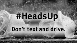 Saskatchewan police are targeting distracted drivers in February, and SGI has rolled out a new ad campaign to discourage dangerous practices such as texting while driving.