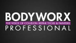 Bodyworx Professional logo.