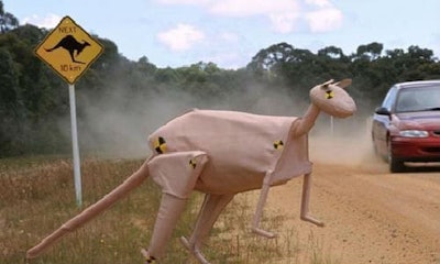 Three guesses which continent this one comes from, and the first two guesses don't count. Collisions between kangaroos and vehicles aren't uncommon in Australia. The kangaroo crash test dummy was developed to aid designers in better protecting the vehicle's occupants.