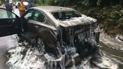 A truck carrying thousands of pounds of hagfish stopped short in Oregon, spilling 13 containers of live, very slimy fish. Autobody staff working on the car show here found a live hagfish still swimming around in some water trapped in the bumper.
