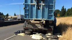 “A comedy of errors' led to a freeway being covered in rising bread dough earlier this week.