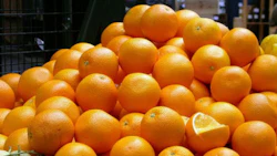 Seville police were perplexed after pulling over two cars and a truck filled with oranges.