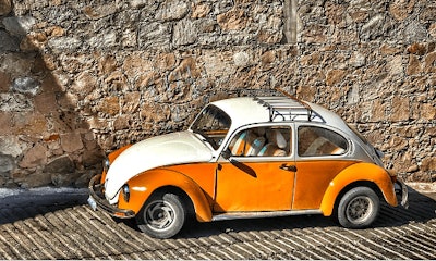 images_beetle