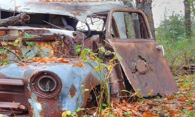 images_car_with_plants