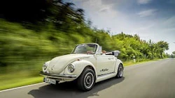 images_ebeetle