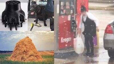 bionjan2