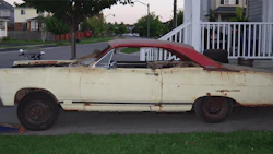 mercury