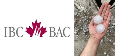 IBChailstorm