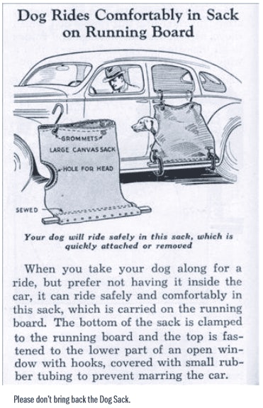 Dog Sack Image