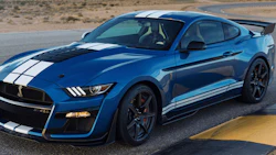 mustang