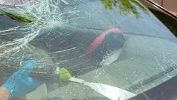 autoglass