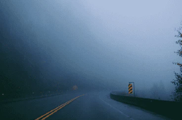 Foggy Road