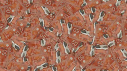 rebate