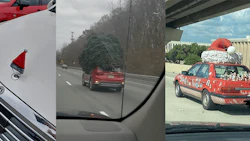 christmasbion