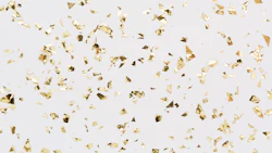 confetti img