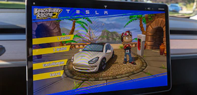 teslagaming