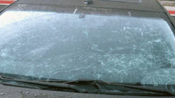 windshield