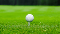 fore