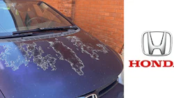 peelingpaint