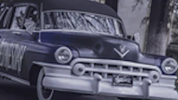 V14A0083_28129
