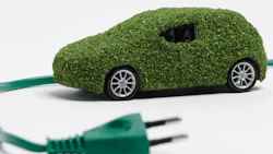 hedge car