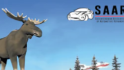 saar moose img
