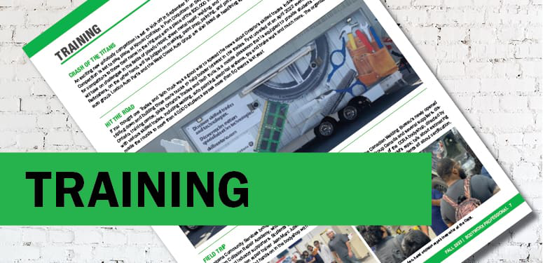 NIBS_sitegraphicsBW2