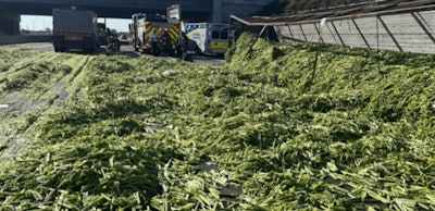 celery