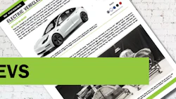 NIBS_sitegraphicsBW3 EVs