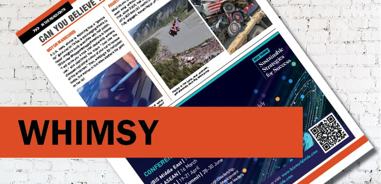 NIBS_sitegraphicsBW4 whimsy