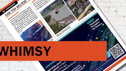 NIBS_sitegraphicsBW4 whimsy