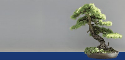 tree img_