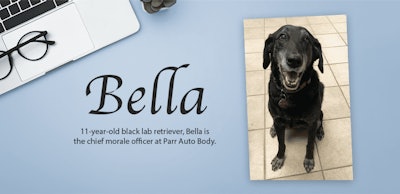 bella