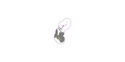 Picture1-2