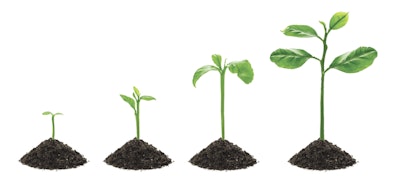 plant growing img_