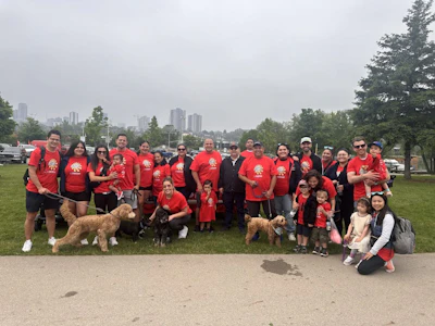 Carstar Hamilton Lc Group And Torcam Group