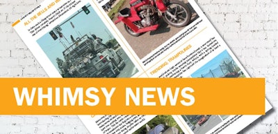 NIBS_sitegraphicsCRM8WHIMSY