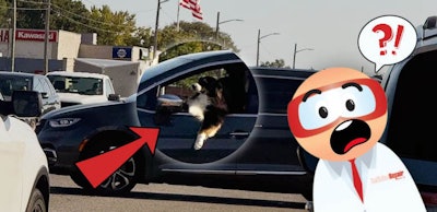 CYBT_Sept27_2024-thumbnails-775×375