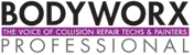 Bodyworx Professional