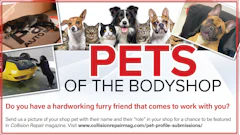 Pets of the Body Shop: Furry workplace companions from various dog and cat breeds