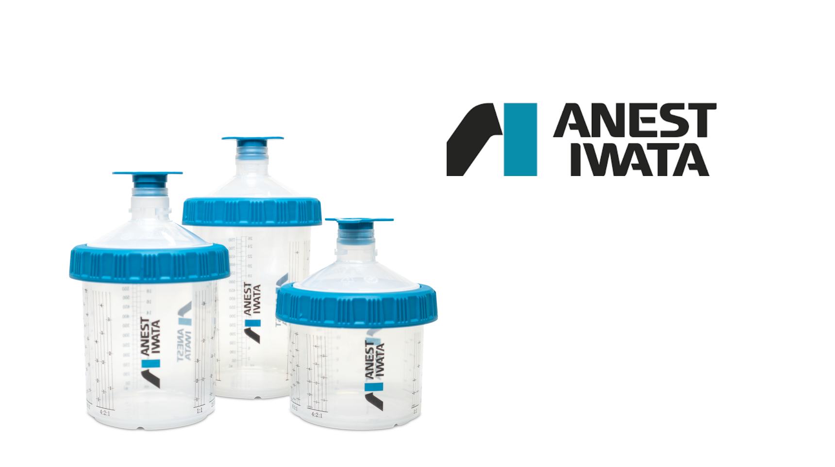 Anest Iwata