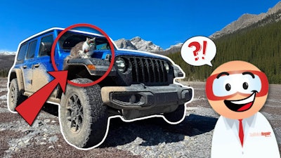Playful cat in sunglasses joins Jeep adventure in mountain landscape