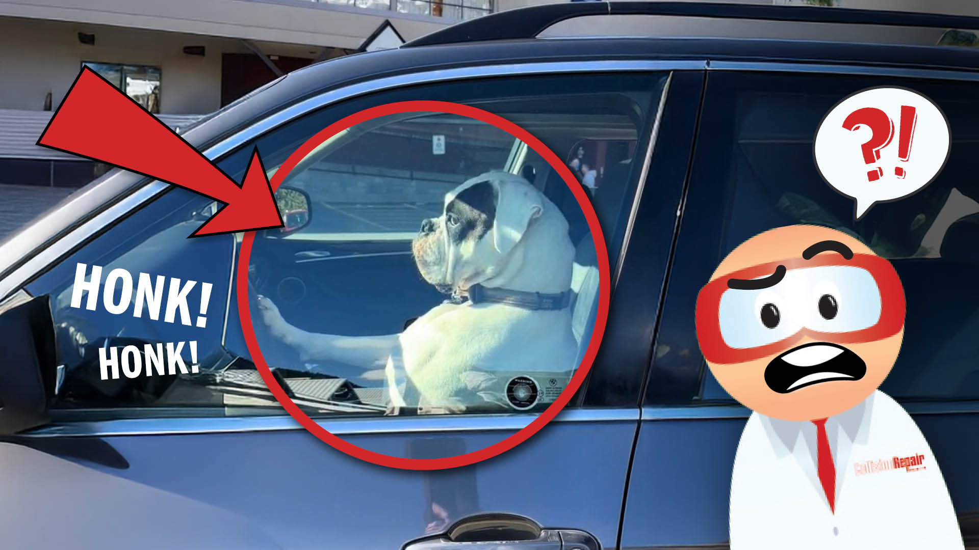 White dog sitting in car driver's seat with cartoon character looking surprised
