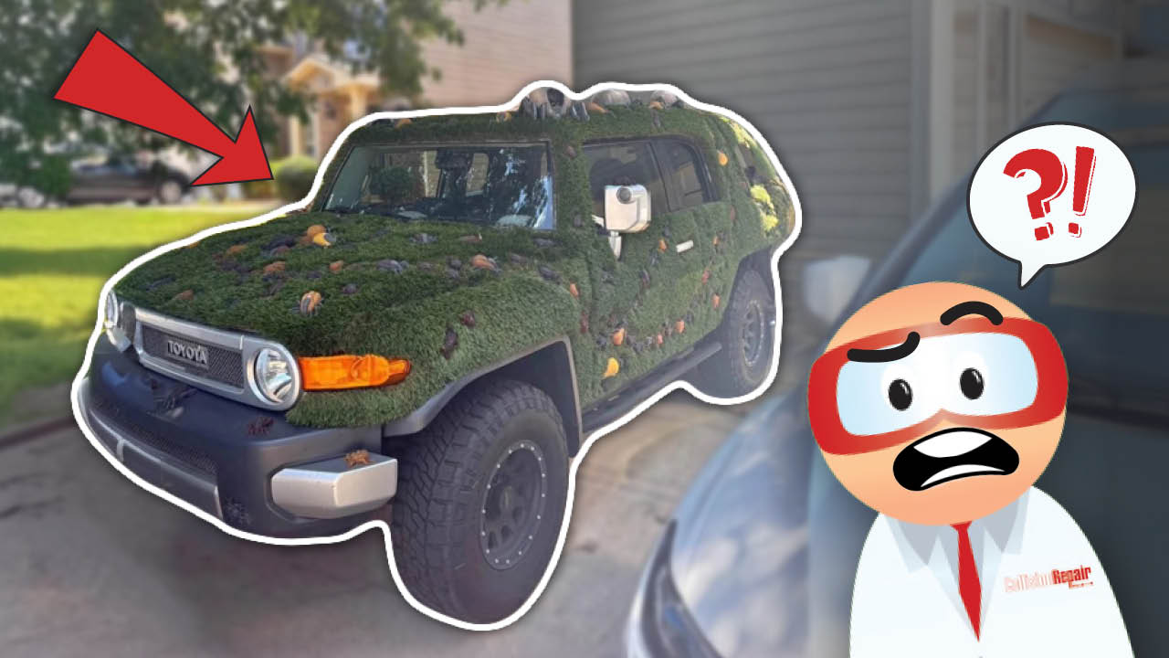 Moss-covered Toyota SUV with cartoon character looking surprised