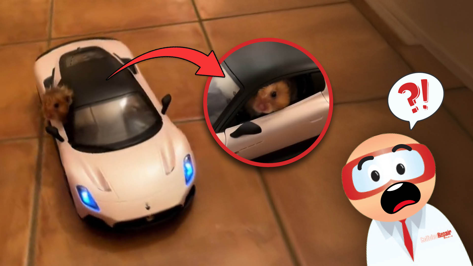 Toy white sports car with a small animal peeking out, cartoon character looking surprised