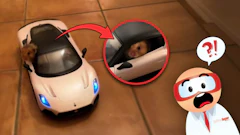 Toy white sports car with a small animal peeking out, cartoon character looking surprised