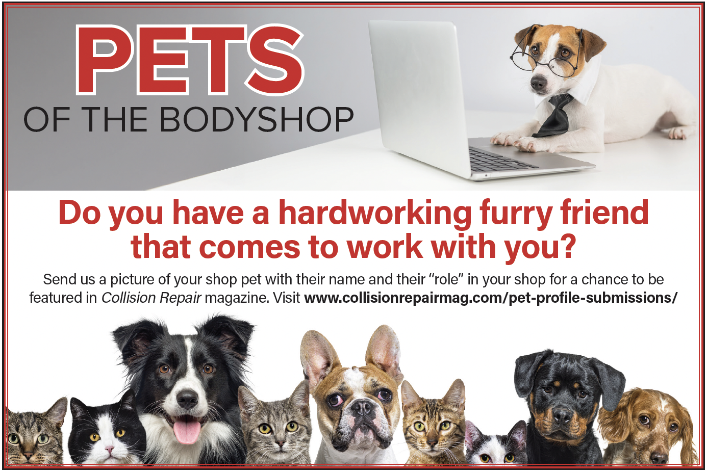 Diverse pets at work, including dogs and cats, promoting Collision Repair magazine's pet feature